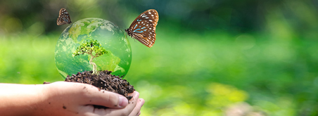 Schmetterling auf Glaskugel